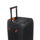 JBL Partybox 310